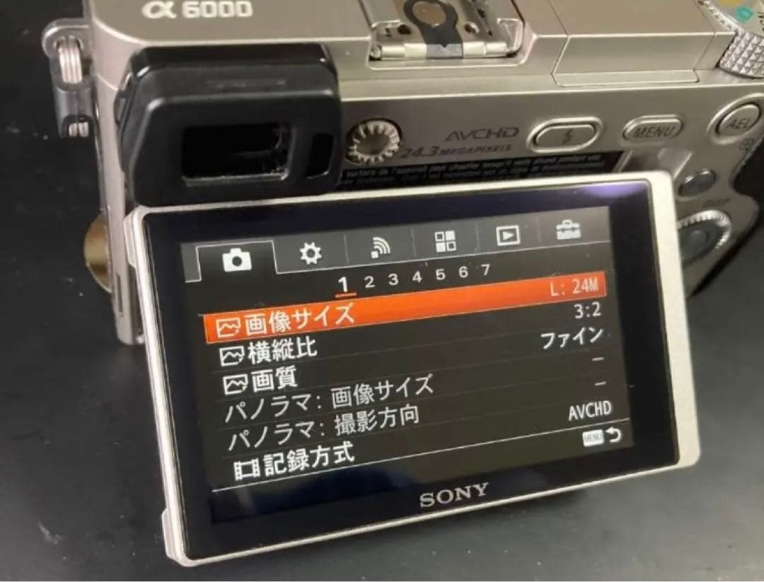 SONY ILCE−6000 16-50mmレンズキット＋別売ACC-FWCA付 - デジタル