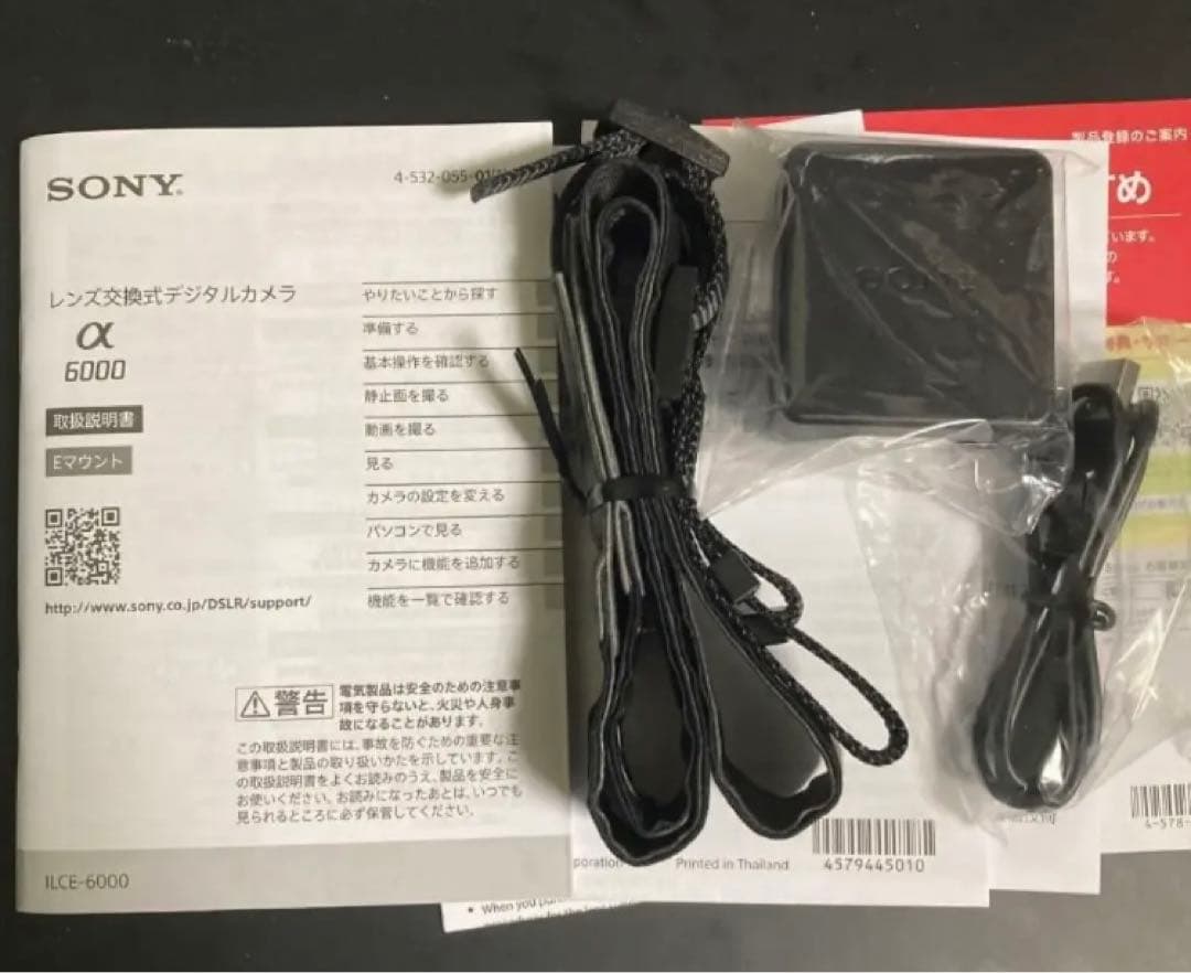 SONY ILCE−6000 16-50mmレンズキット＋別売ACC-FWCA付 - デジタル