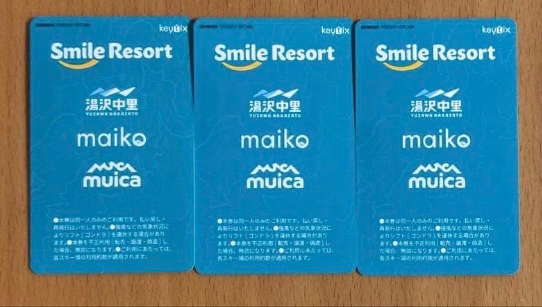 舞子スノーリゾート 1日券 リフト券 チケット 大人用 即日 3枚 セット