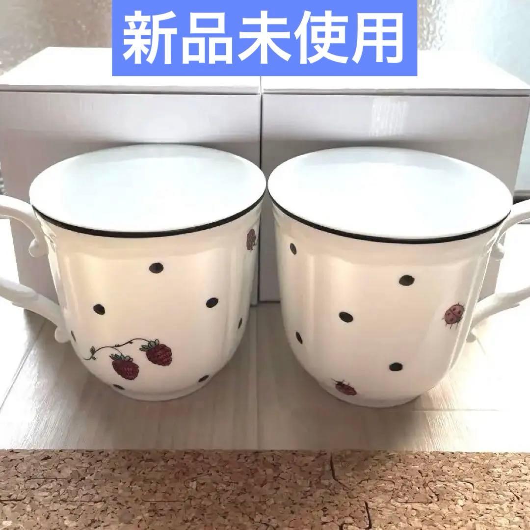 新品 食器 リチャードジノリ イタリアンポア マグカップ 野いちご