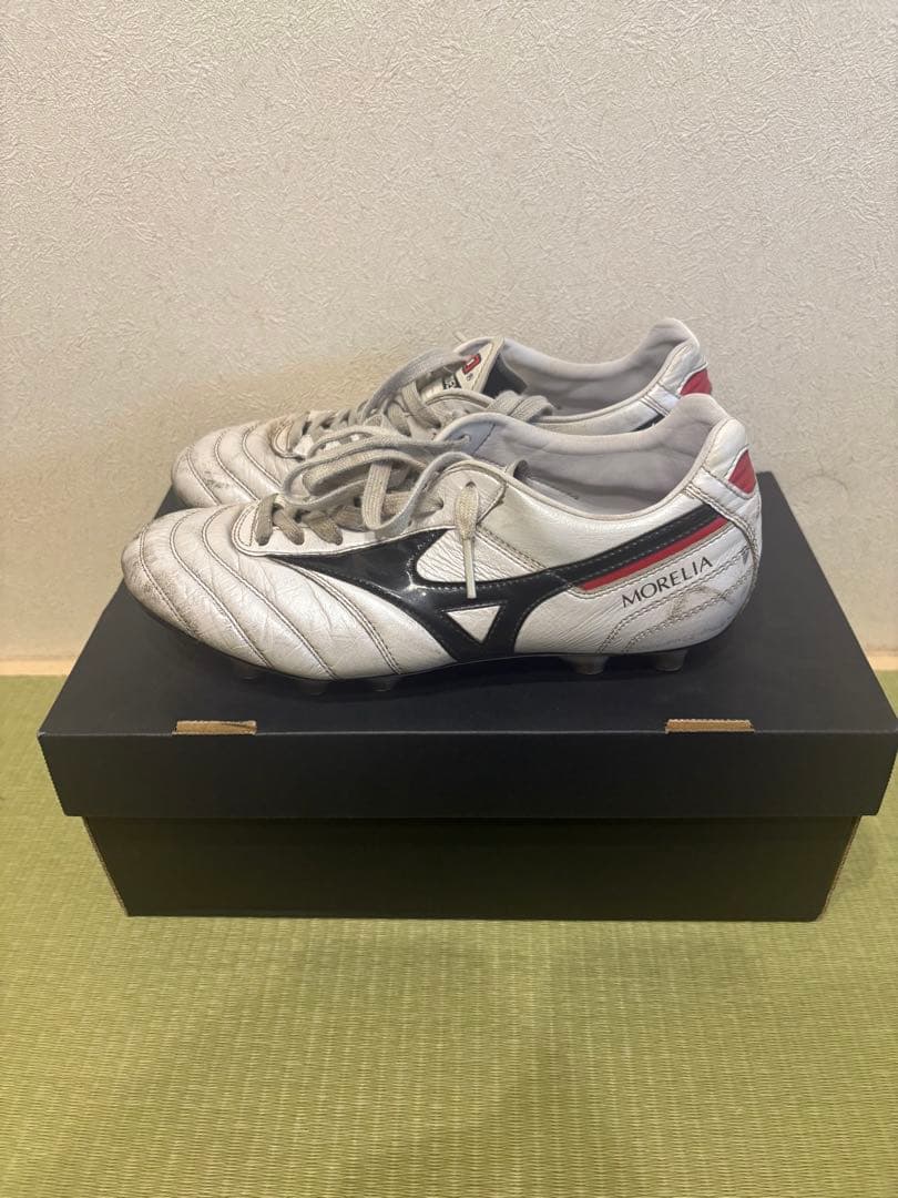 Mizuno モレリアスパイク　ザムストインソール　シューズケース　23.5cm