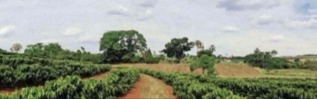 コーヒーメーカー・エスプレッソマシン K.M Lelit Mara X PL62X Espresso Machine