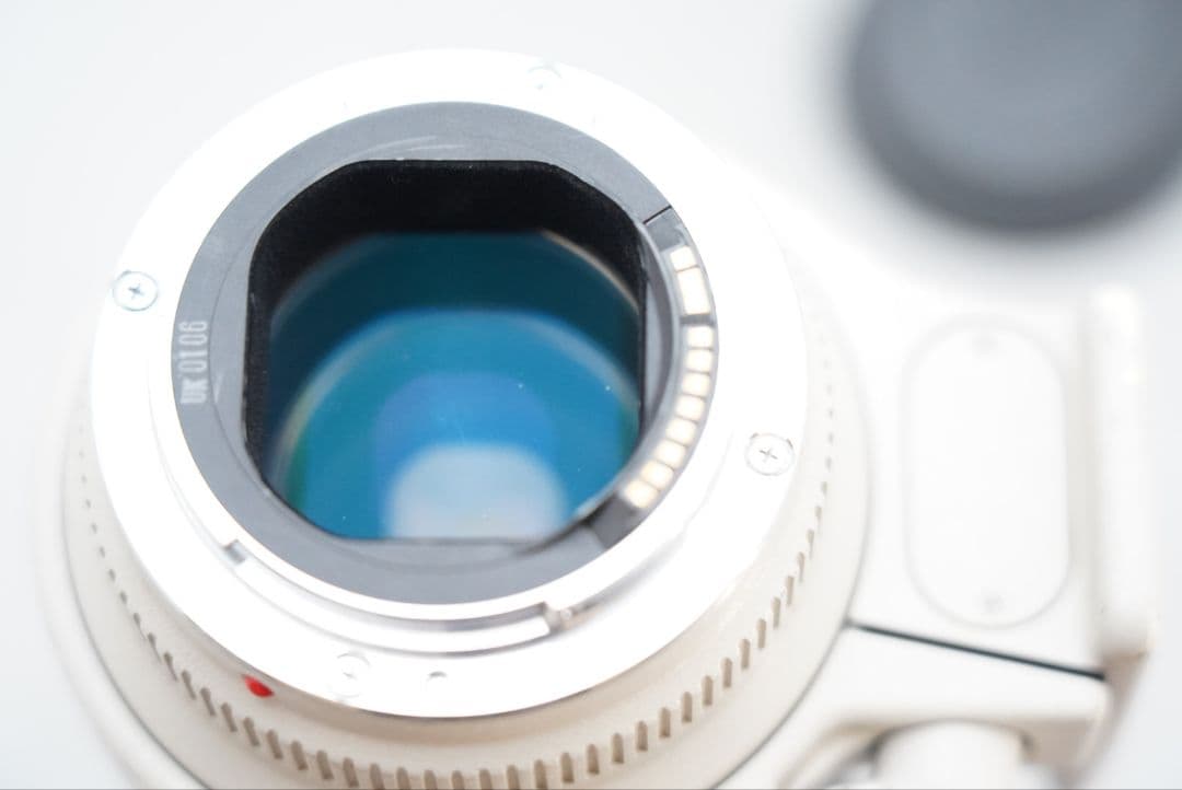 キャノン EF 70-200㎜ F=1:2.8 L USM 超望遠・ズームレンズ