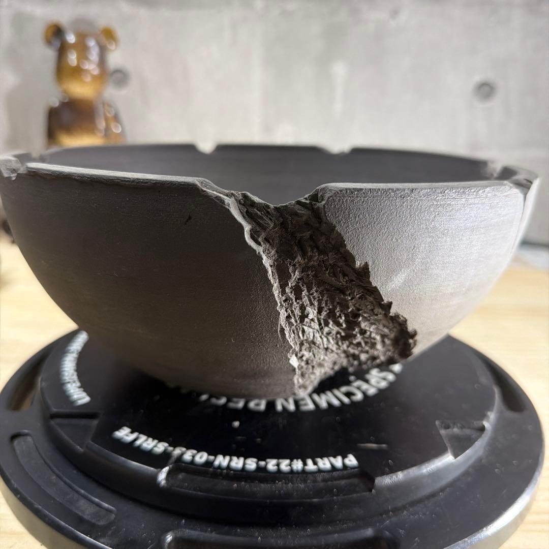 手作植木鉢 LLLサイズ 検（ 塊根植物 グラキリス パキプス アガベ