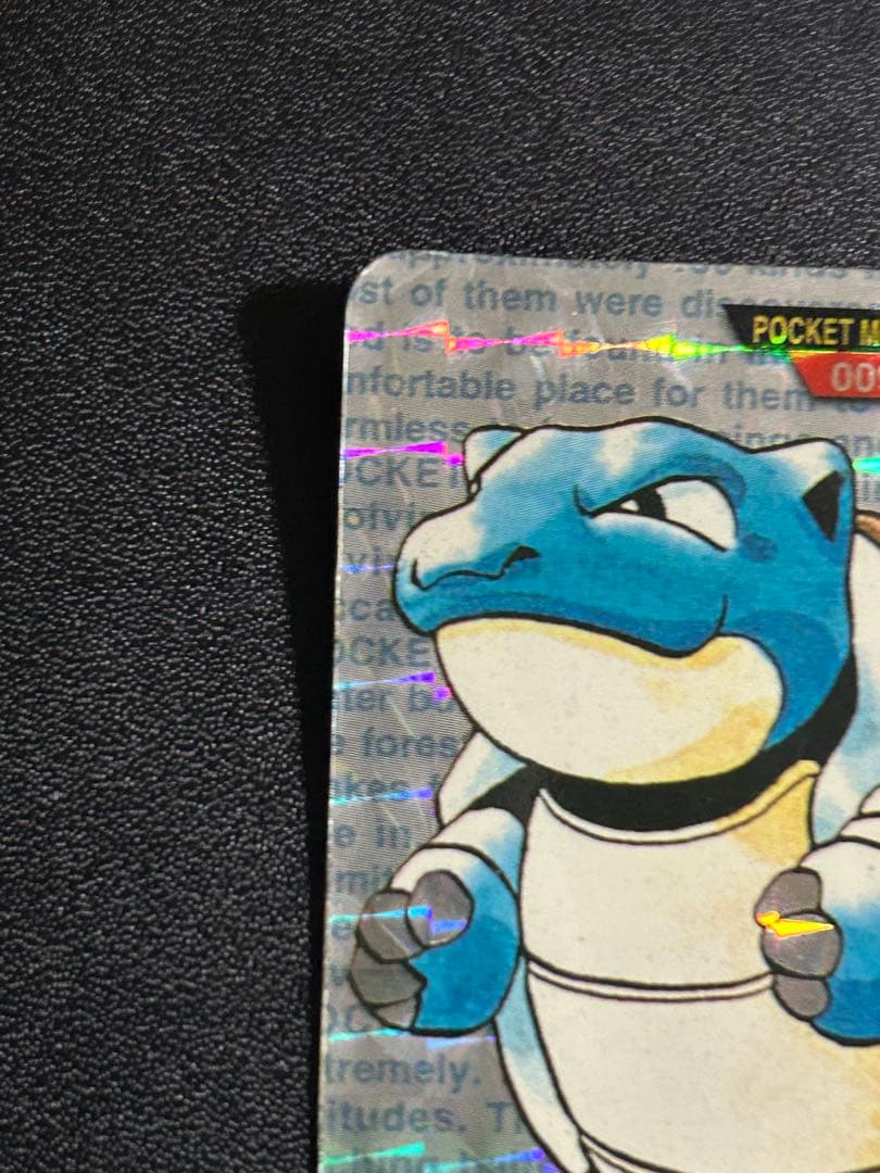 カメックス 009 モンスターコレクション カメックス モンスター