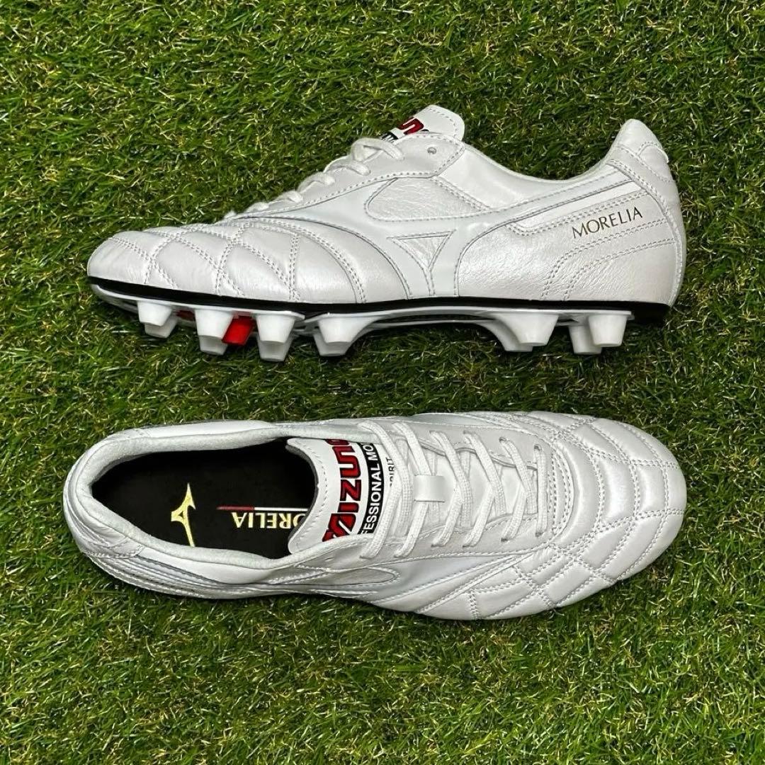 ミズノ モレリア2ジャパン ペイントカスタムモデル 26.5㌢ - メルカリ