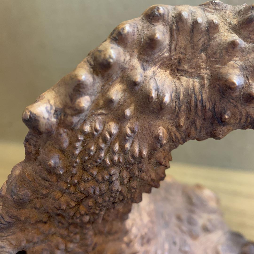 変木 天然木 飾り木 龍 動物 インテリア 工芸品 木工 木彫 - メルカリ