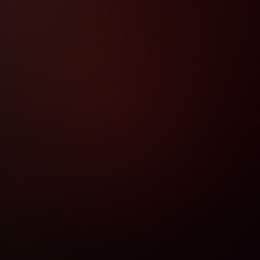 ちさと 高嶋ちさ子 オフィシャルサイト