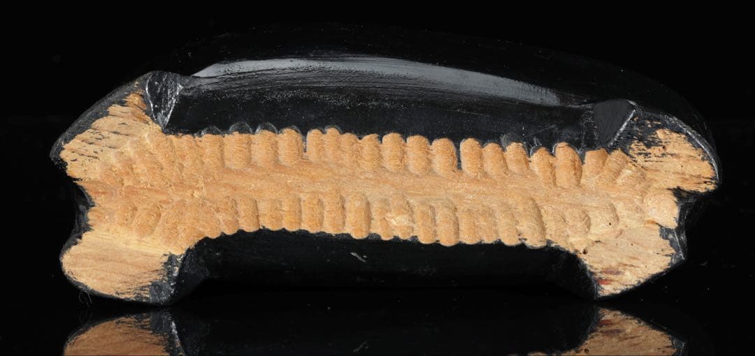 水晶クラスター 黄鉄鉱共生 台座付 2.1kg 天然石 原石 自然石 鉱物標本