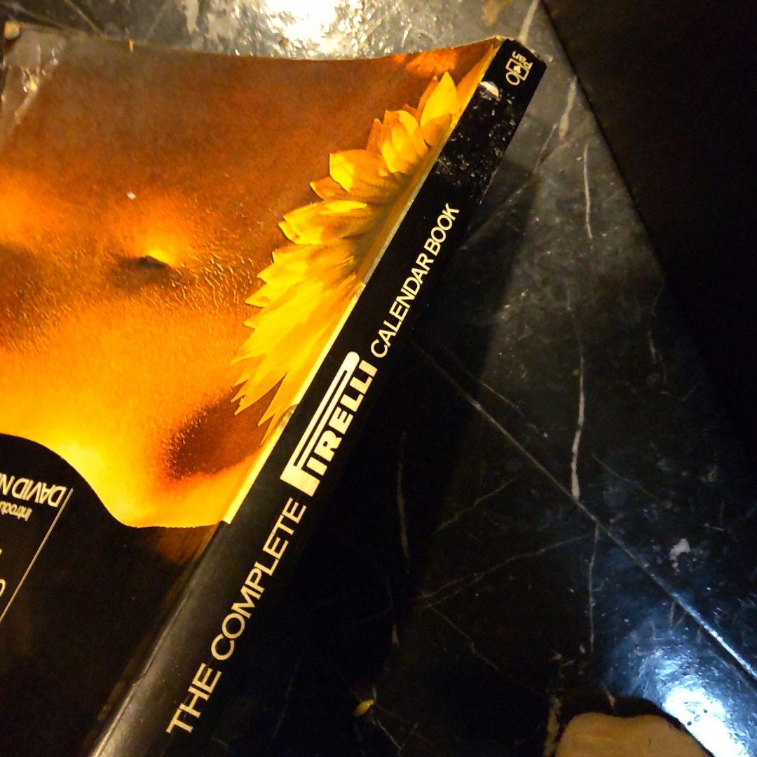 THE COMPLETE PIRELLI CALENDAR ピレリ アート 洋書