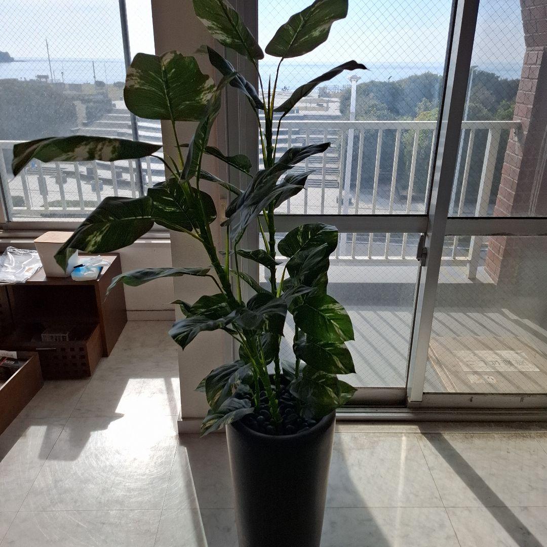 人工観葉植物 約150cm 黒ポット 楽天市場】フェイクグリーン ブラックポットTS 光触媒 （ 人工観葉植物