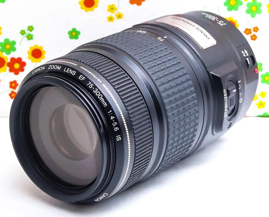 美品 Canon EF 75-300mm IS USM☆望遠レンズ☆フィルター付 キヤノン（Canon） Canon EF 75-300mm f/4-5.6 III 美品 EFマウント
