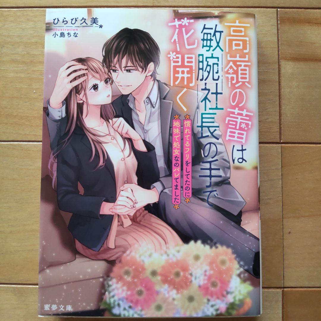 TL小説 蜜夢文庫2冊 エタニティ文庫2冊 - メルカリ