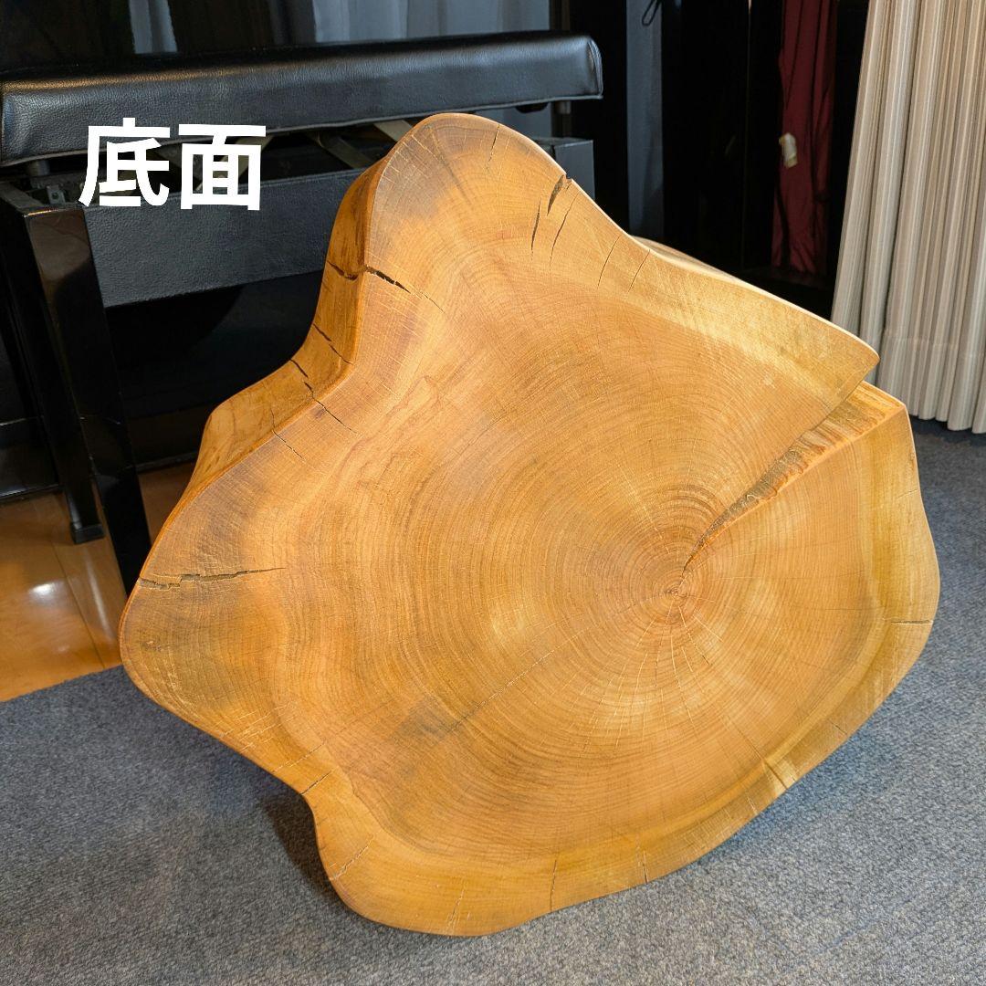 山桜天然木切り株輪切り高さ約19.5㎝