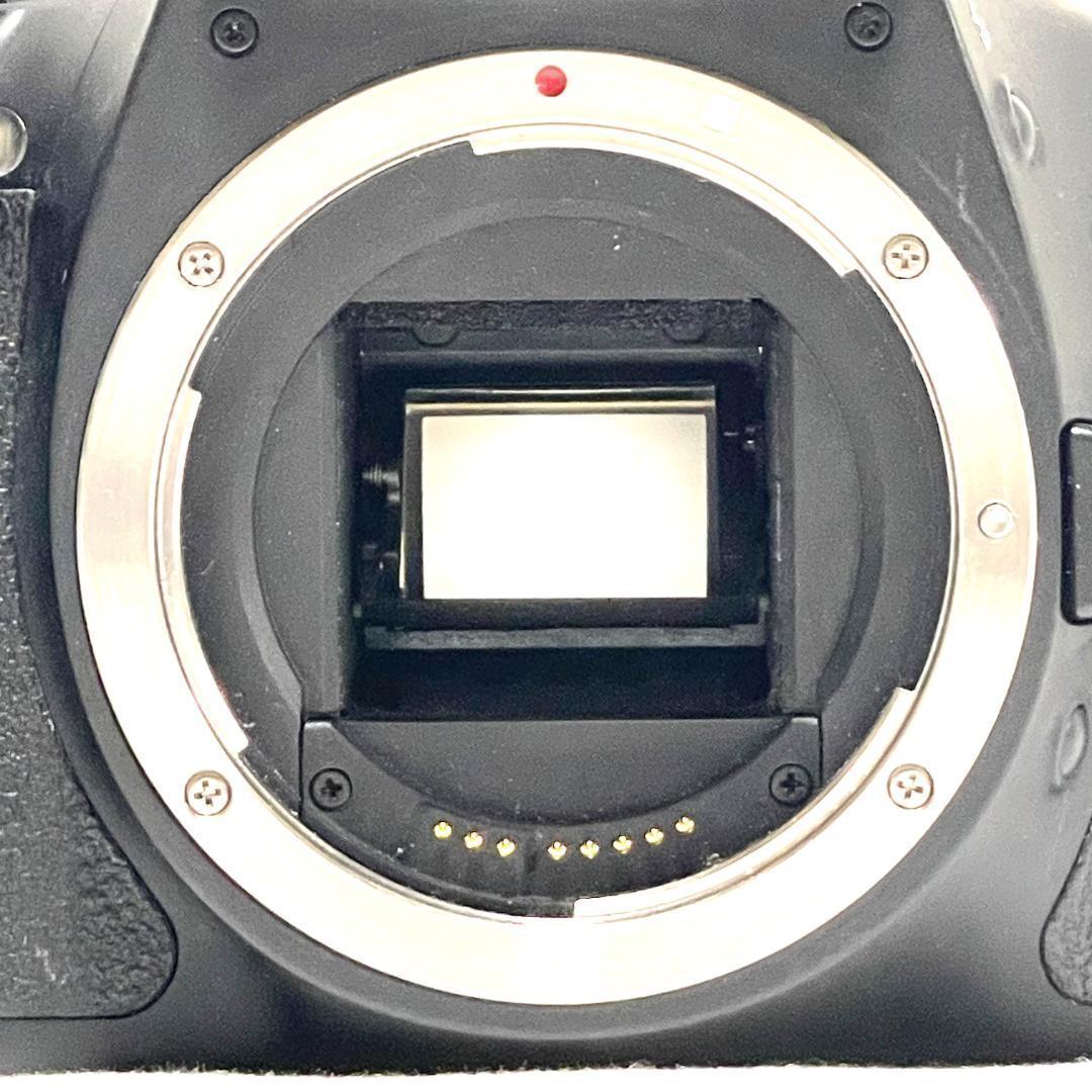 これ一式で本格撮影OK❣️ Canon EOS Kiss X5 超望遠 Wレンズ