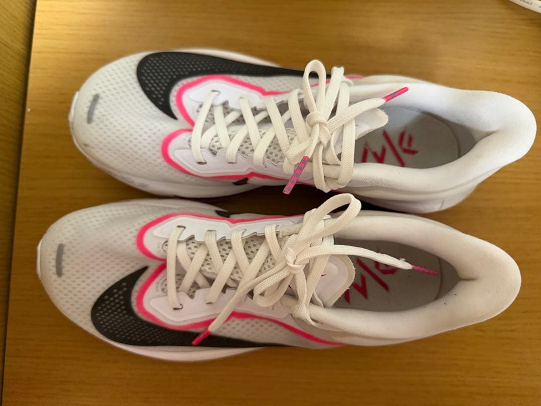 Nike ズーム フライ 6 (ZOOM FLY 6) 24.0cm