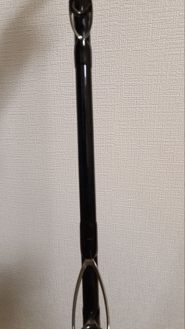 中古品】ゼナック ミュートスソニオ100M RGガイド - メルカリ