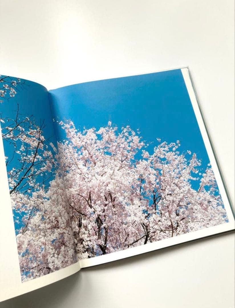 鈴木理策 写真集「HYSTERIC EIGHT 」 吉野山 桜 風景 青空 花 - メルカリ