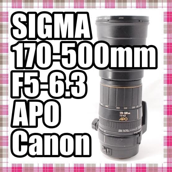 ✨超望遠レンズ✨SIGMA 170-500mm F5-6.3 APO Canon Sigma 170-500mm F/5-6.3 APO for Canon | eBay