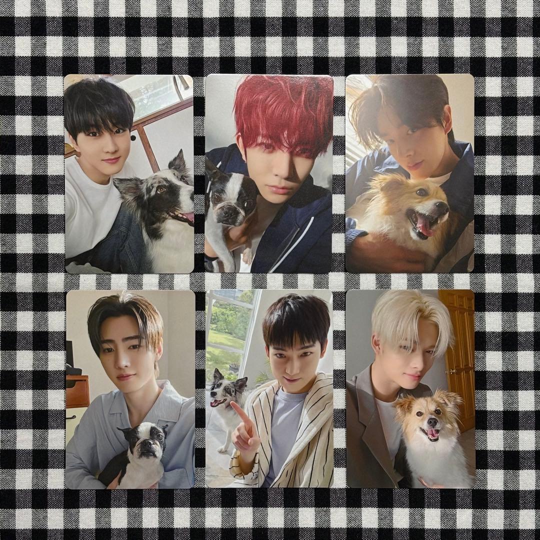 ENHYPEN FC 会報 2025 アンケート トレカ 6枚セット 2025 ENHYPEN FC アンケート トレカ 7枚 コンプリート セット - メルカリ