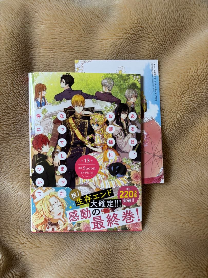 ある日、お姫様になってしまった件について13巻 完結巻 特典付き