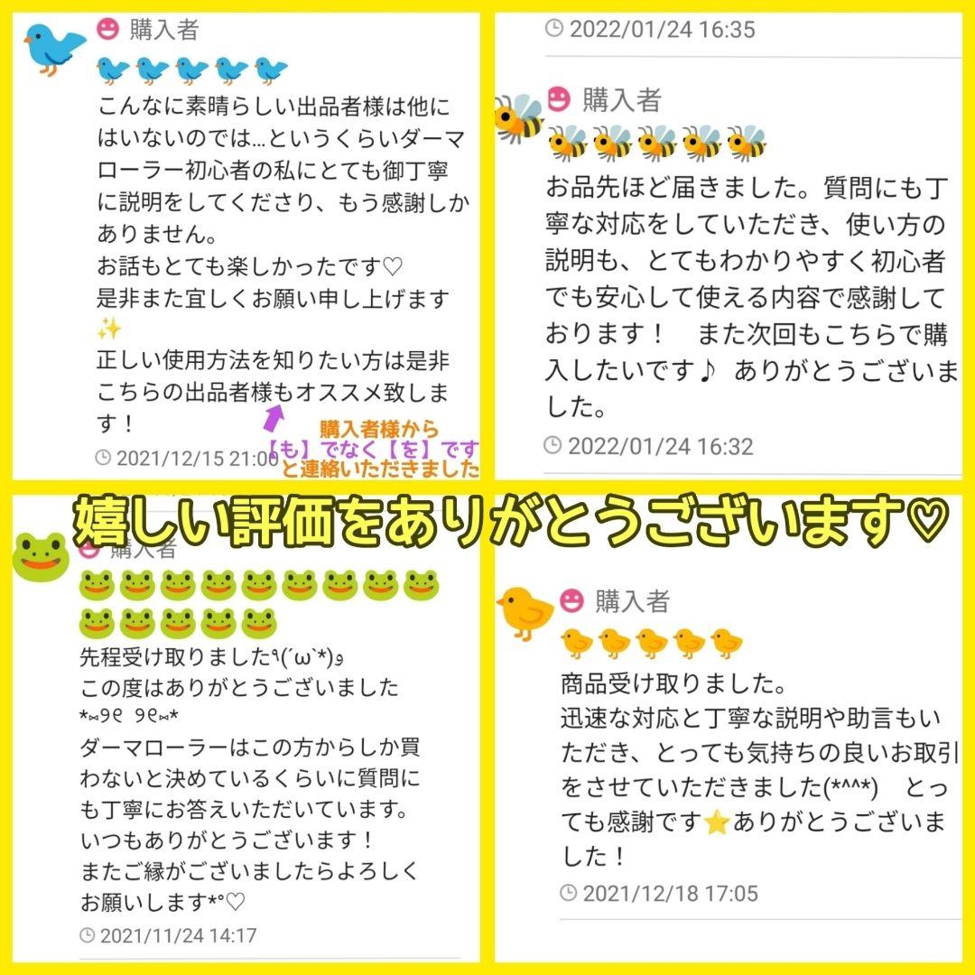 【匿名配送】ダーマローラー 0.75mm 3本 0.5mm3本【本数変更