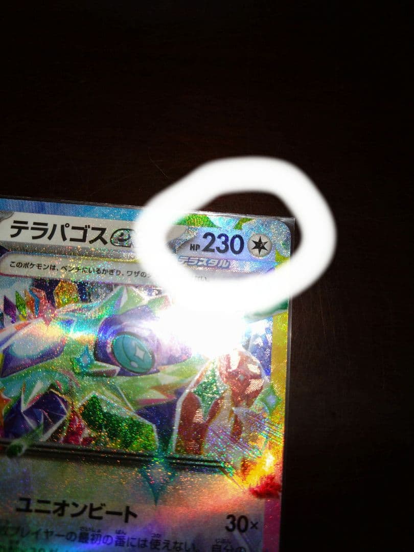 テラパゴスex ポケモンカード エラーカード - メルカリ
