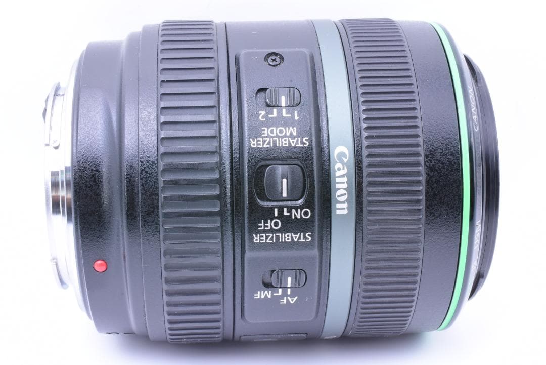 手振補正❄キヤノン EF 70-300mm F4.5-5.6 DO IS USM