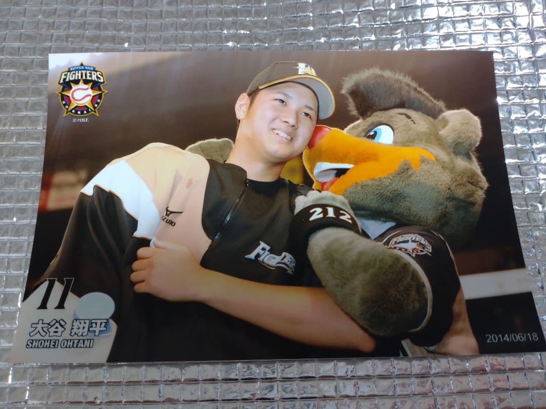 大谷翔平 2013 ハイライトフォト No.372 日本ハム 球団公式写真