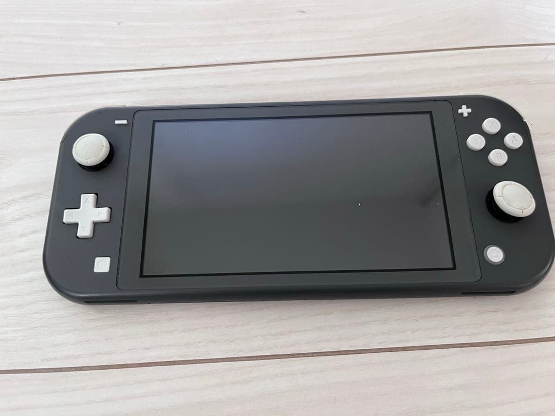 Nintendo Switch Lite グレー 本体　【ジャンク品】 ジャンク】Nintendo Switch Lite グレー 1台 液晶に線有り 左