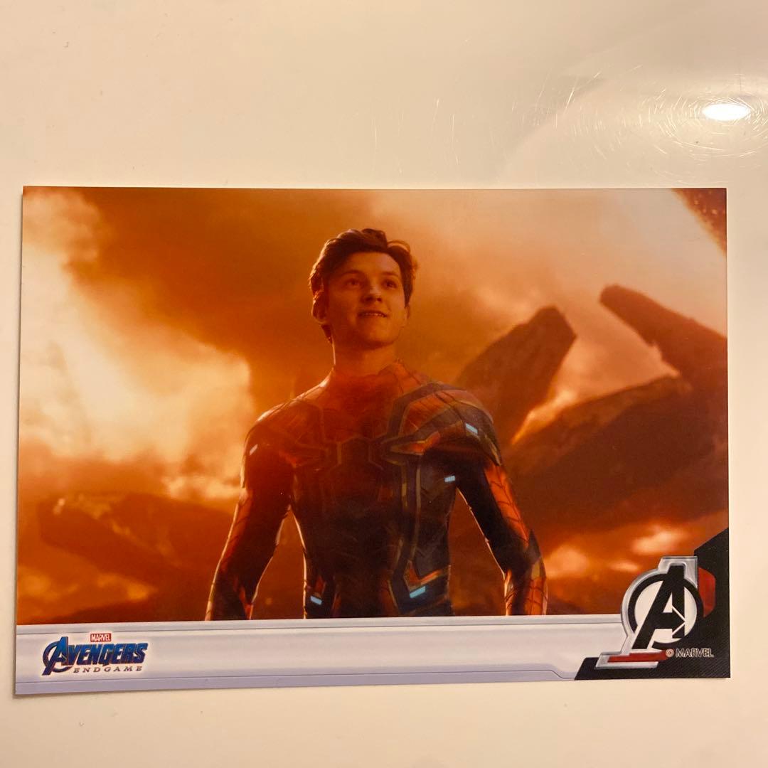 ブロマイド　スパイダーマン マスタークラフト/ Spider-Man No Way Hom: フレンドリー