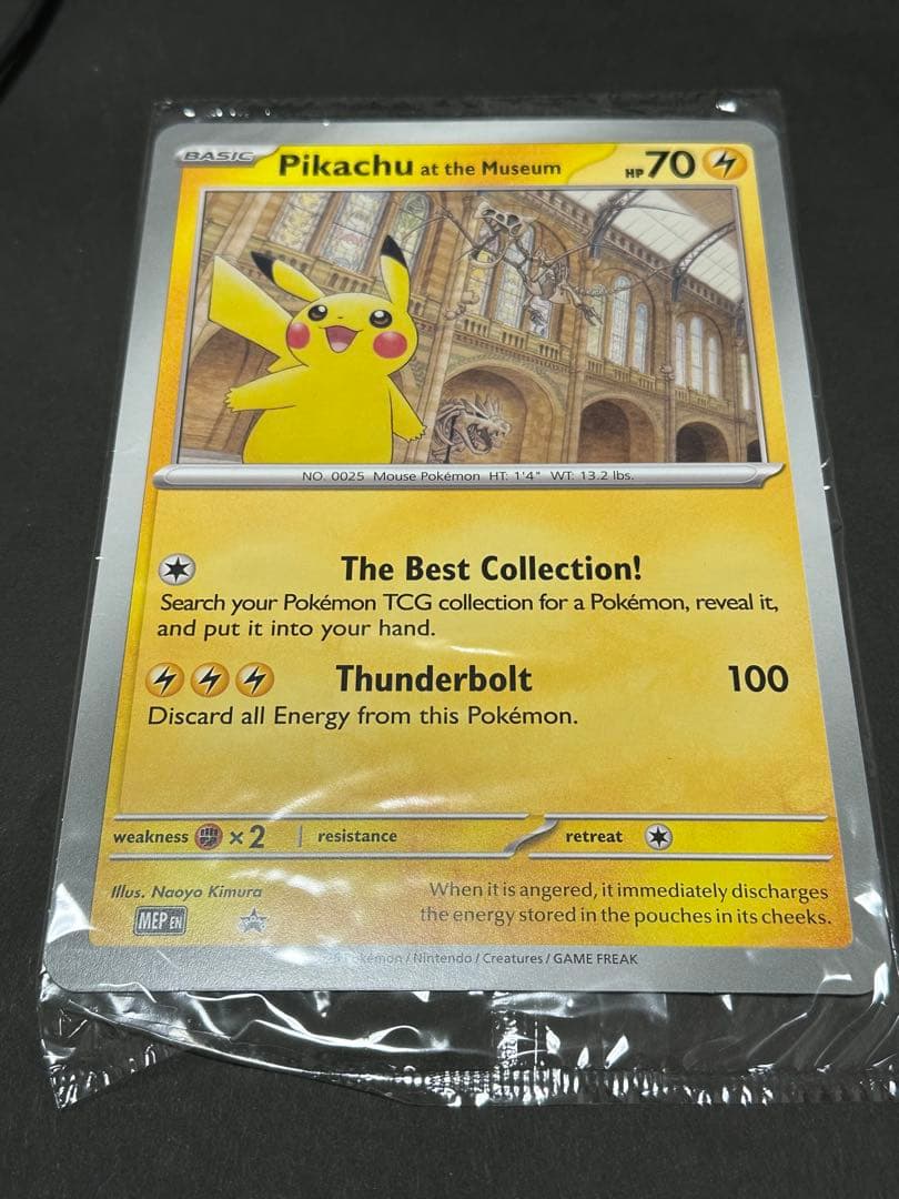 Pikachu at the Museum ピカチュウ ロンドン自然史博物館30 - メルカリ