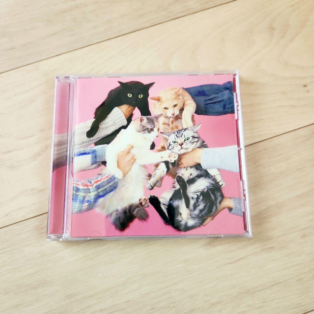 猫とアレルギー きのこ帝国 ☆シールスタンプなし - メルカリ