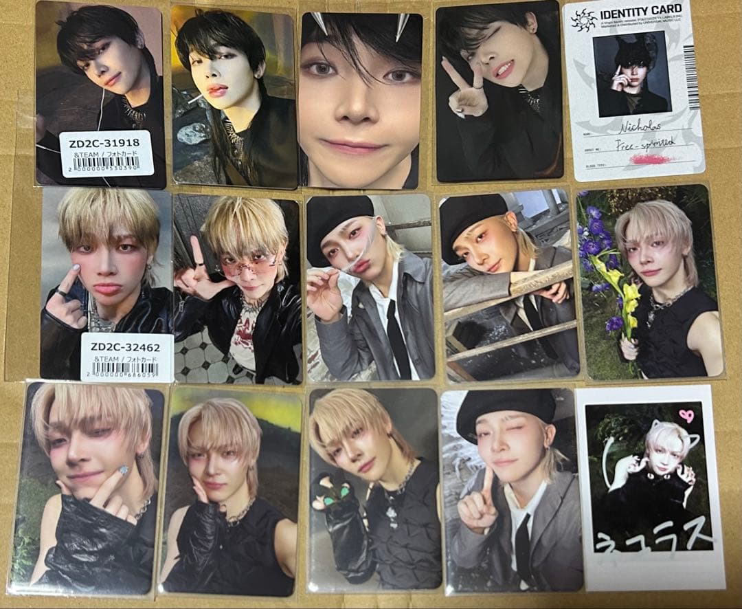 &TEAM NICHOLAS 月狼 BtL トレカ セット - メルカリ