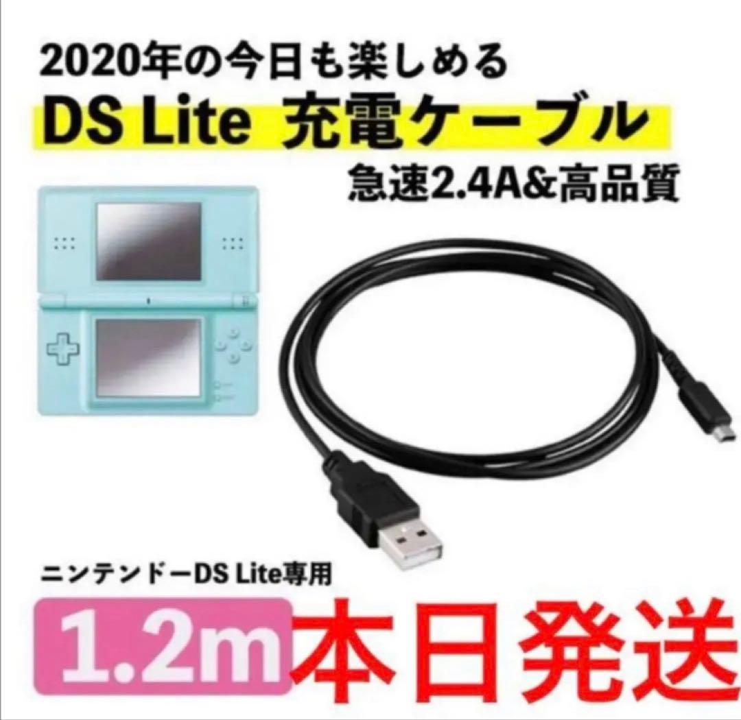 新品DSライト 充電器 USB ケーブル DSL DS Lite NDS - メルカリ