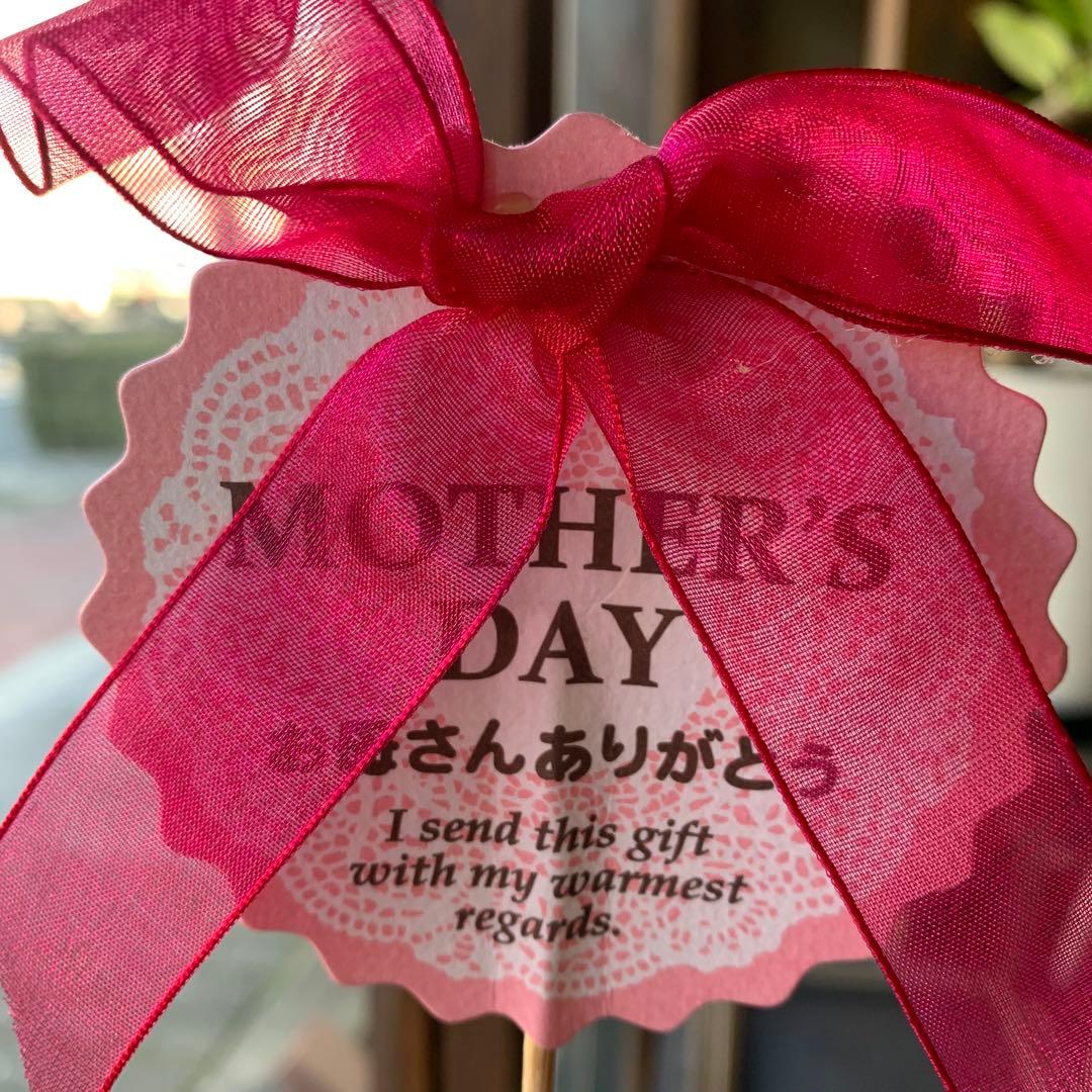 母の日リボン付きピック 100本セット HMA-FP32 ヘッズ HEADS - メルカリ