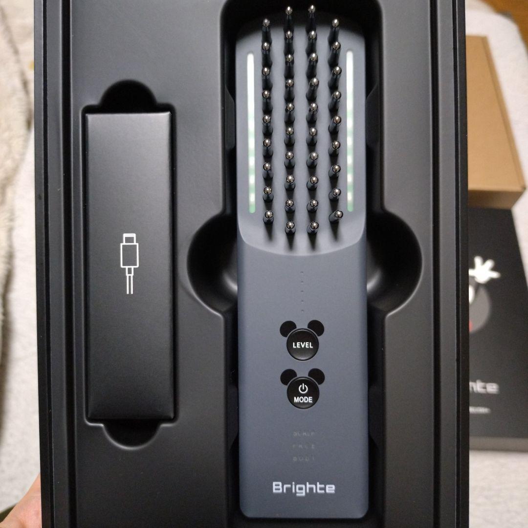 Brighte ELEKIBRUSH+（エレキブラシ） ミッキーマウス特別モデル