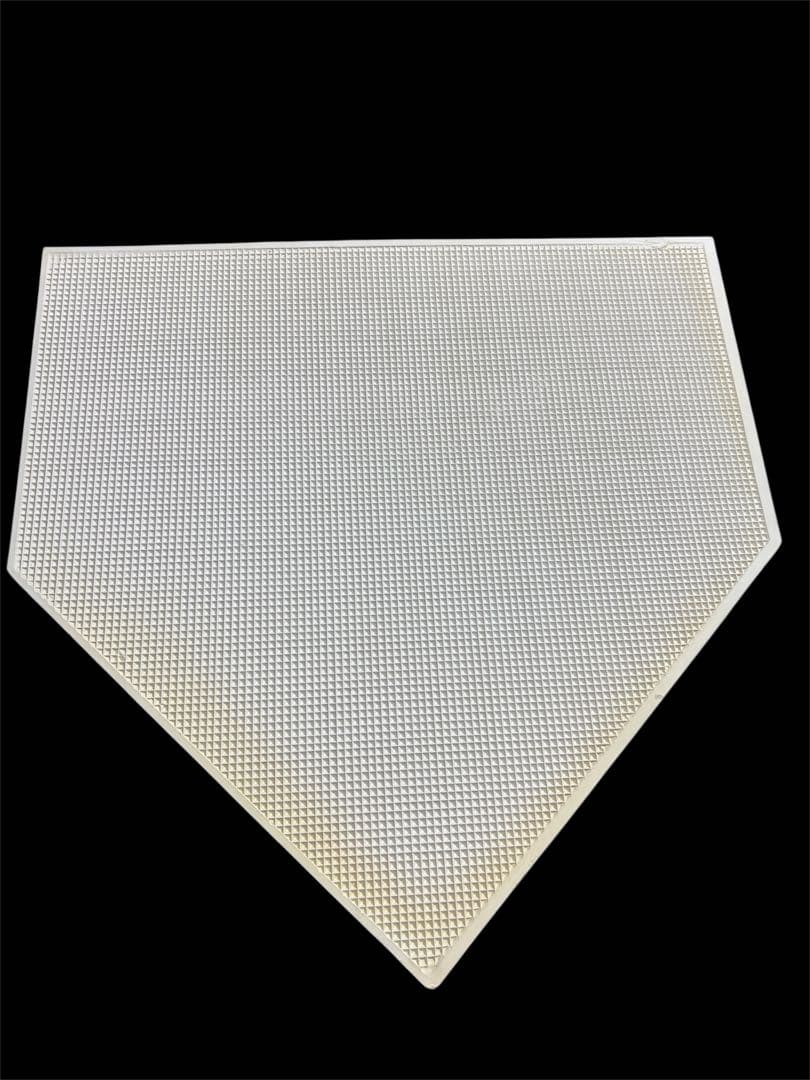 信濃グランセローズ 初シーズン終了記念 全選手サイン入りホームベース