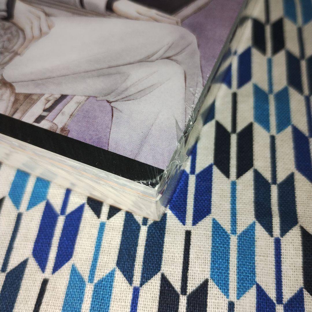 文庫版 ヴァンパイア騎士10巻 ポストカード(イラストカード)16枚 樋野