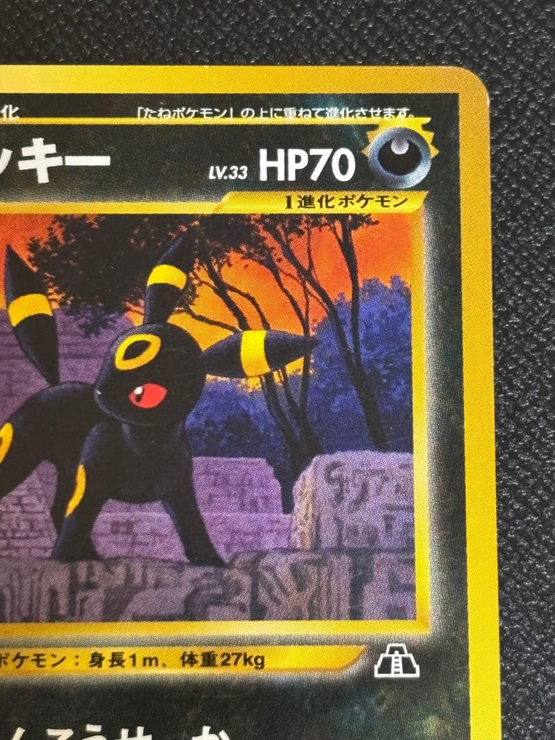 ポケモンカード 旧裏 ブラッキー プレミアムファイル2 PROMO プロモ