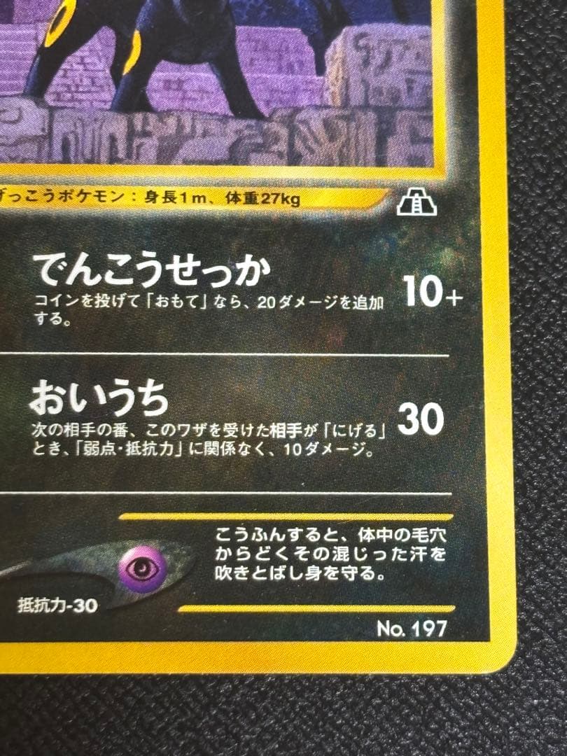 ポケモンカード 旧裏 ブラッキー プレミアムファイル2 PROMO プロモ