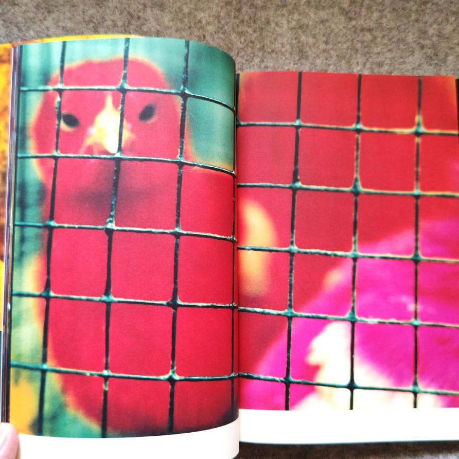 ◇古本◇蜷川実花サイン入り◇ノワール◇女性写真家、映画監督◇蜷川