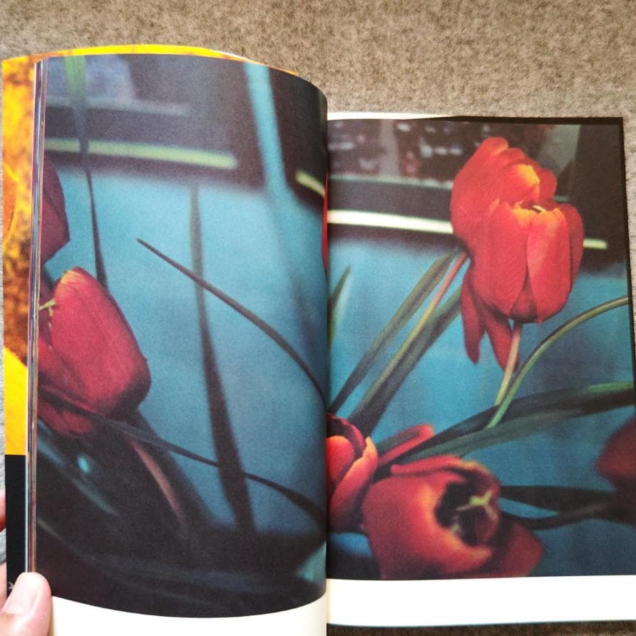 ◇古本◇蜷川実花サイン入り◇ノワール◇女性写真家、映画監督◇蜷川