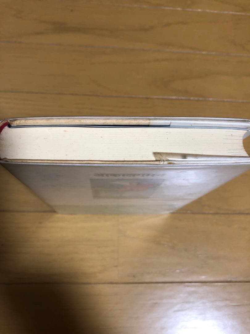 空中浮揚 第一巻 中沢新一対談