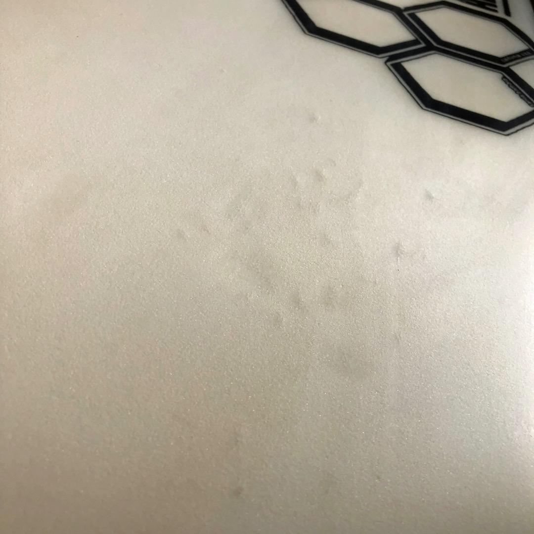 アルメリック サンプラー 5'11