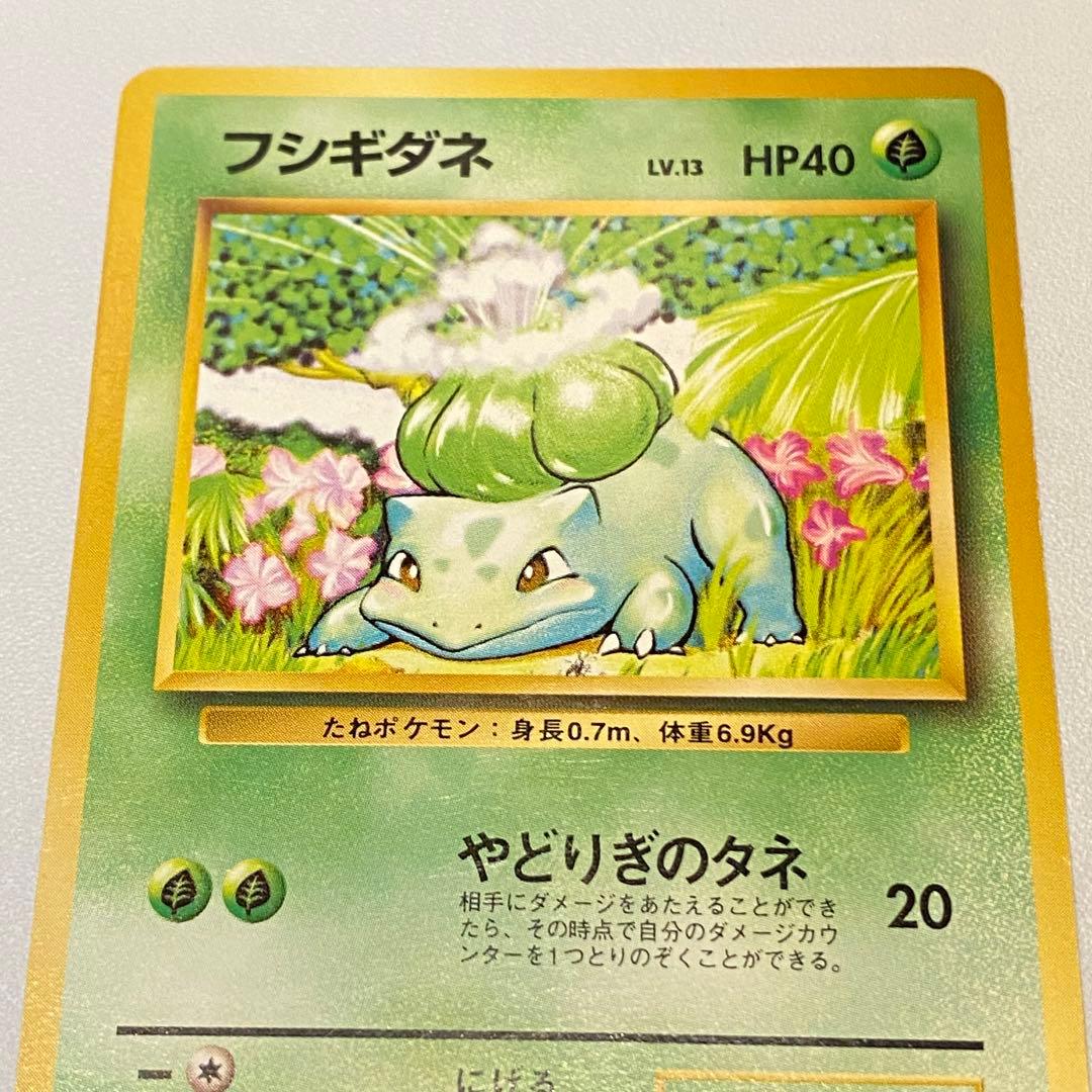 ポケモンカード旧裏 初期御三家セット フシギダネ ヒトカゲ ゼニガメ