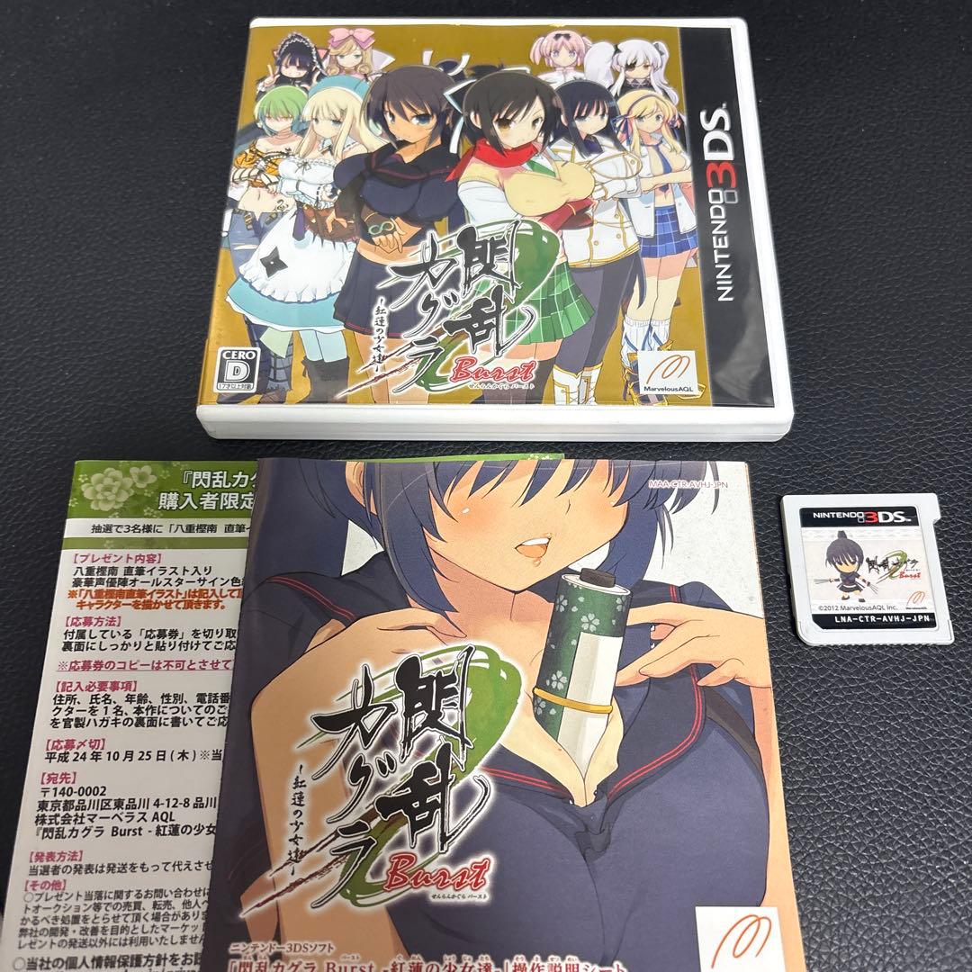 Nintendo 3DS 閃乱カグラBurst - メルカリ