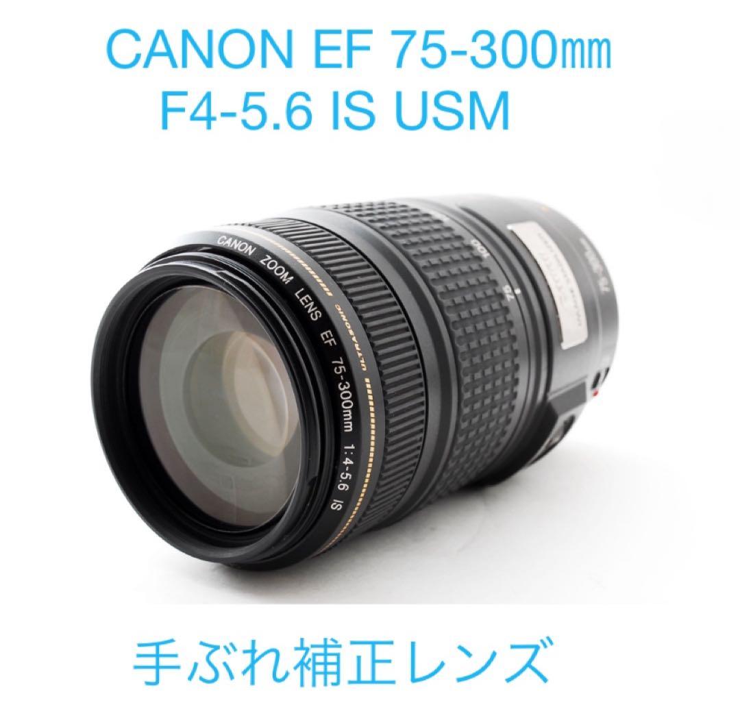 Canon EF 75-300㎜F4-5.6 IS USM - メルカリ