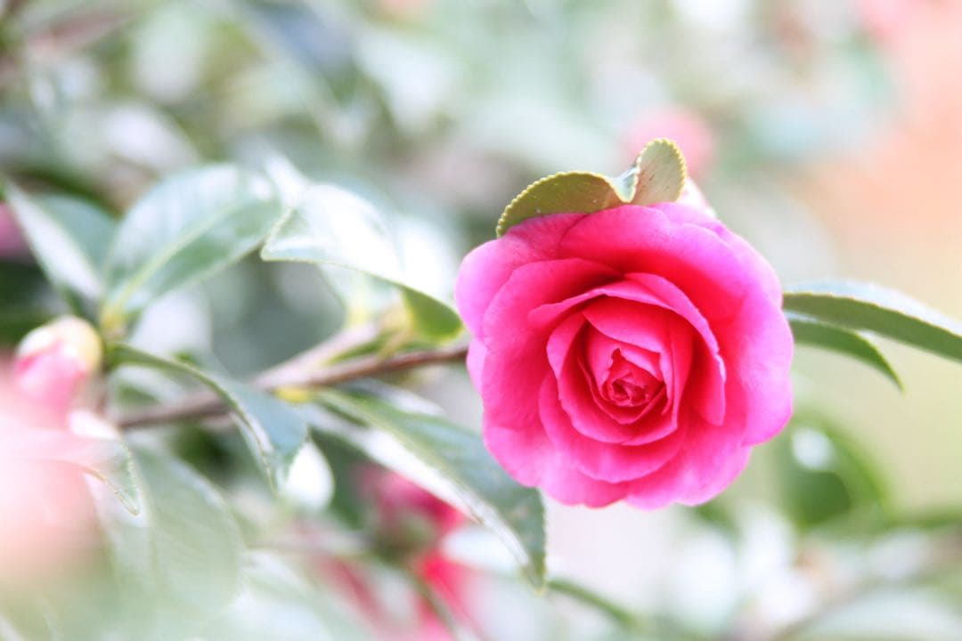 キヤノン　CANON EF 28-200mm f/3.5-5.6 USM ズーム