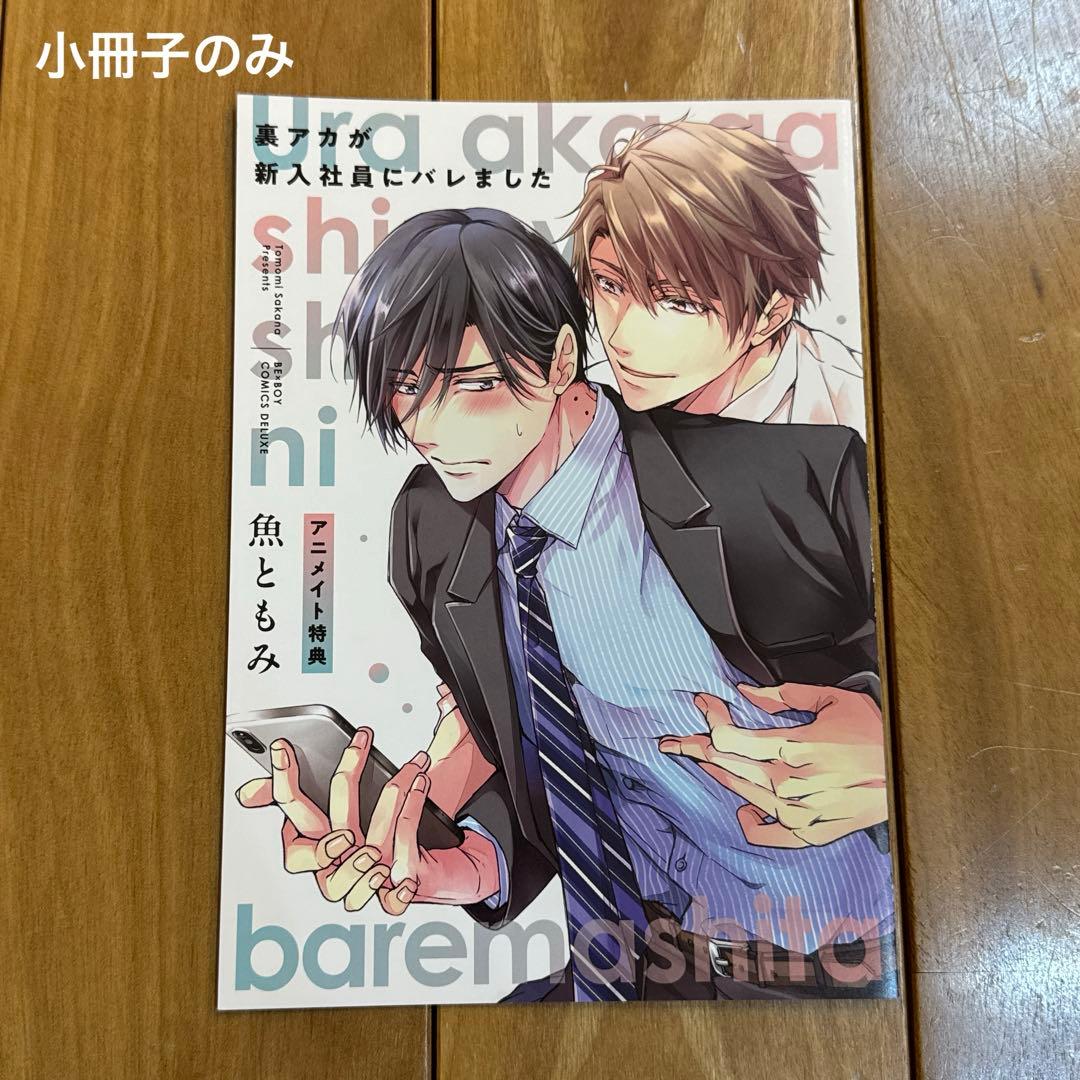 裏アカが新入社員にバレました アニメイト特典 リーフレット 魚ともみ